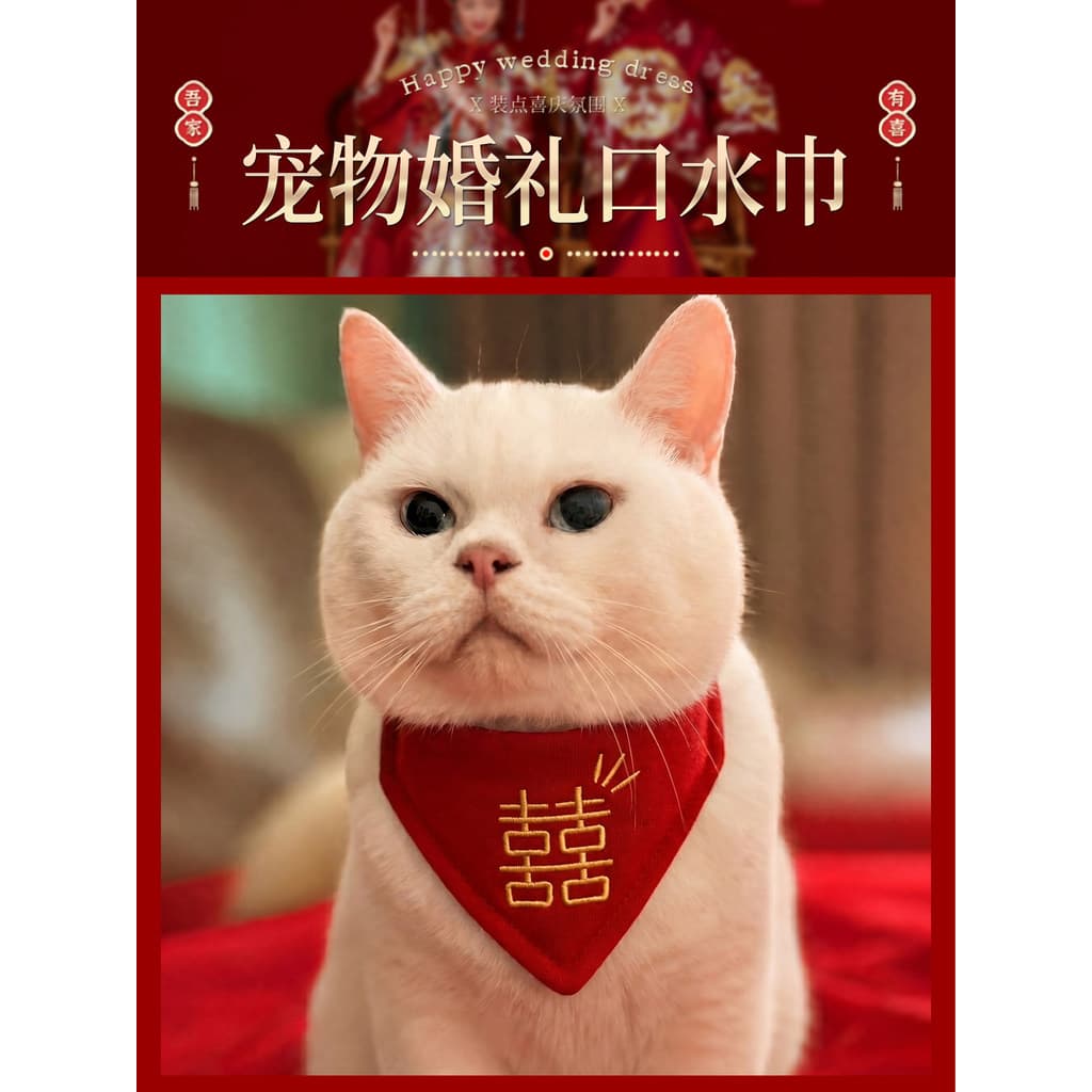 Gravata Dow para decoração de casamento de gato
