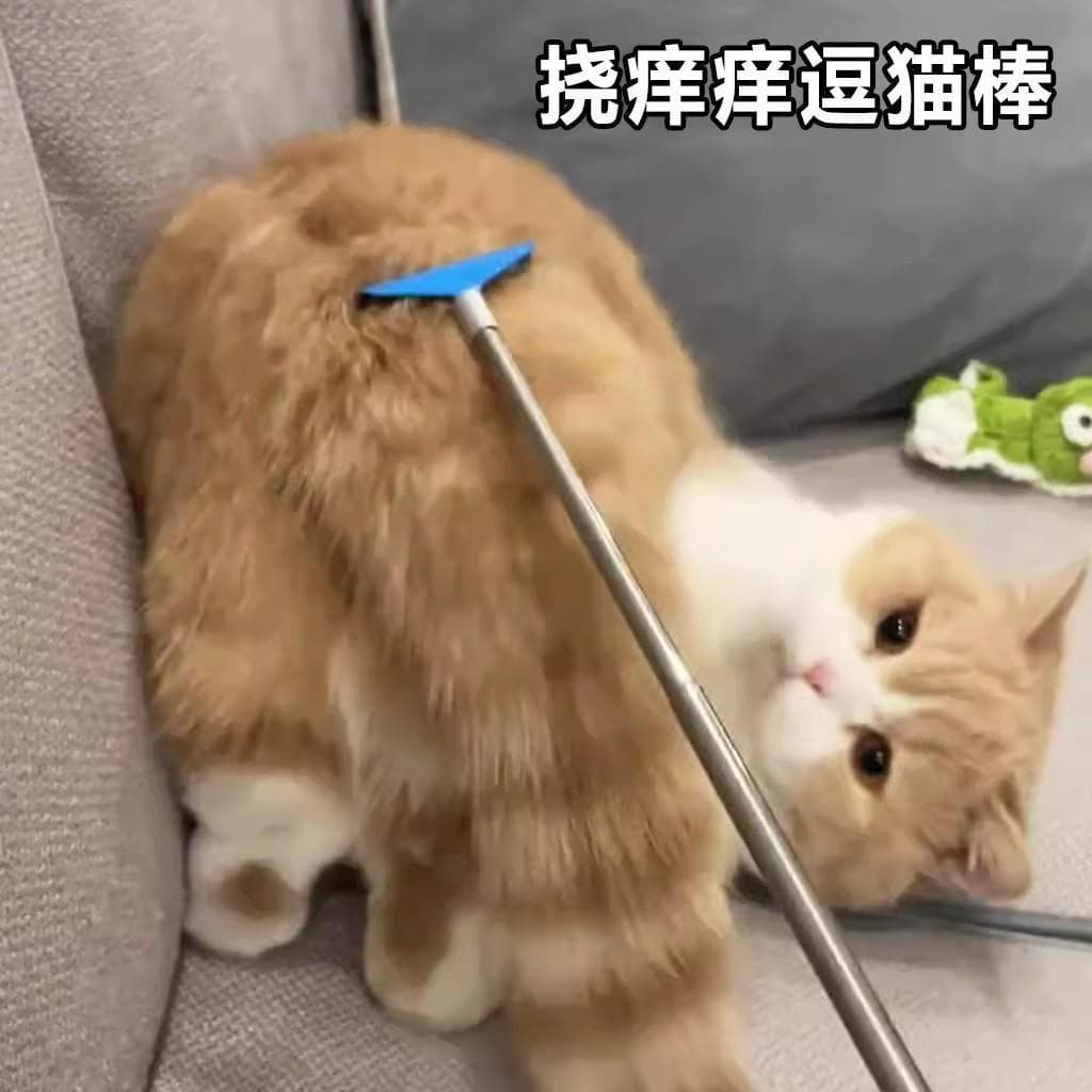 Gato brinquedos coceira gato provocando vara retrátil haste longa gatinho auto-feliz tédio aliviar ferramenta útil boa q