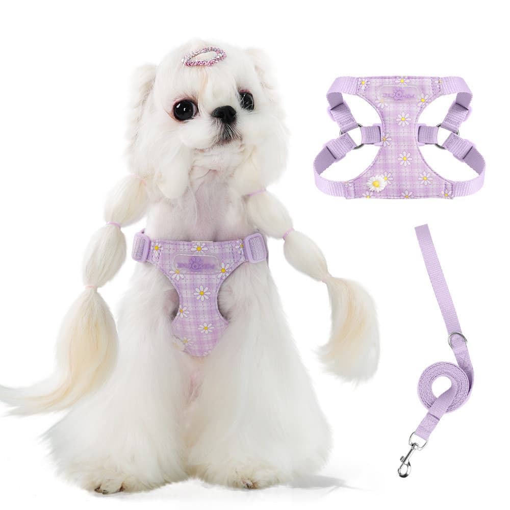 Coleira para cachorro pequena margarida bordada, alça peitoral para cachorro pequeno, fácil caminhada, macia, respirável