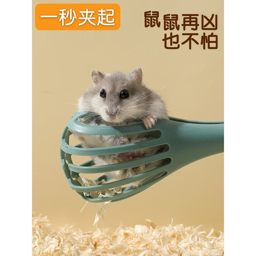 Urso dourado captura Hamster clipe Mouse captura clipe anti-mordida não machuca animais de estimação vida brinquedos int