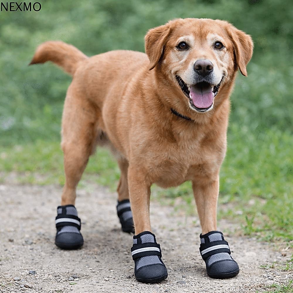 NEXMO 4 Unidades/Conjunto Sapatos De Malha Para Cães , Capa De Sapato Animais De Estimação Com Sola Macia Antiderrapante