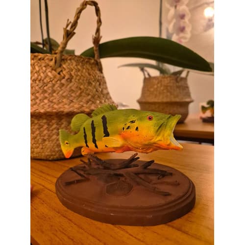 Decoração De Mesa Tucunaré Açu Verde-musgo Verde-musgo
