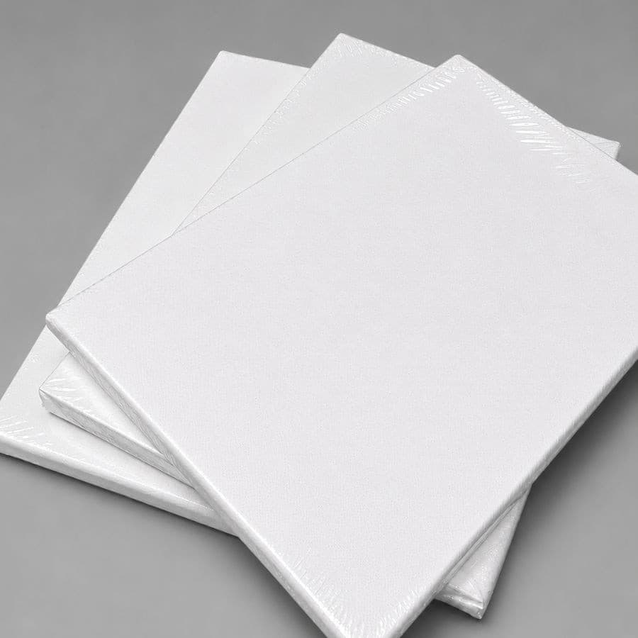 Kit 30 Telas Para Pintura 20x30cm Algodão com Armação de Madeira
