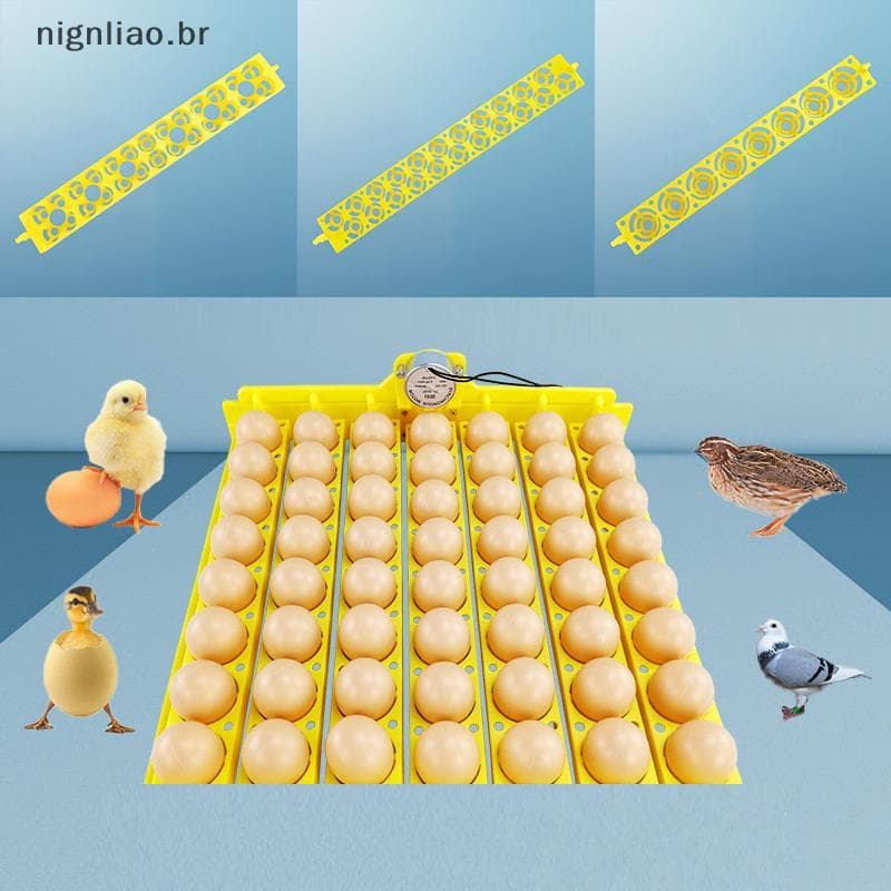 nignliao 8/22/36 Furos Incubadora Automática Bandeja De Ovo Chien Titular Para Du Aves Ganso Pássaros Peças Reposição BR