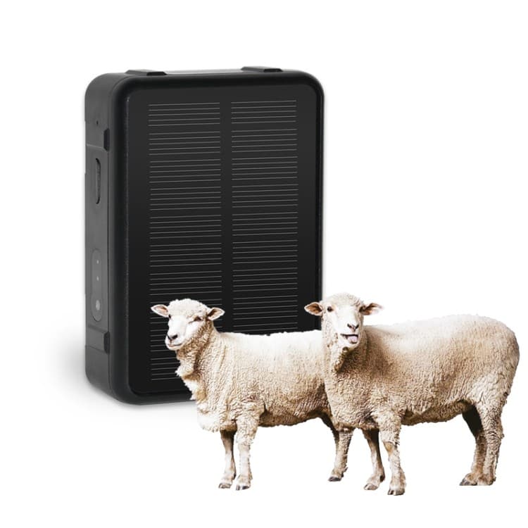 Estoque Pronto V44 Energia Solar À Prova D'água Gado E Ovelha Rastreador GPS V44