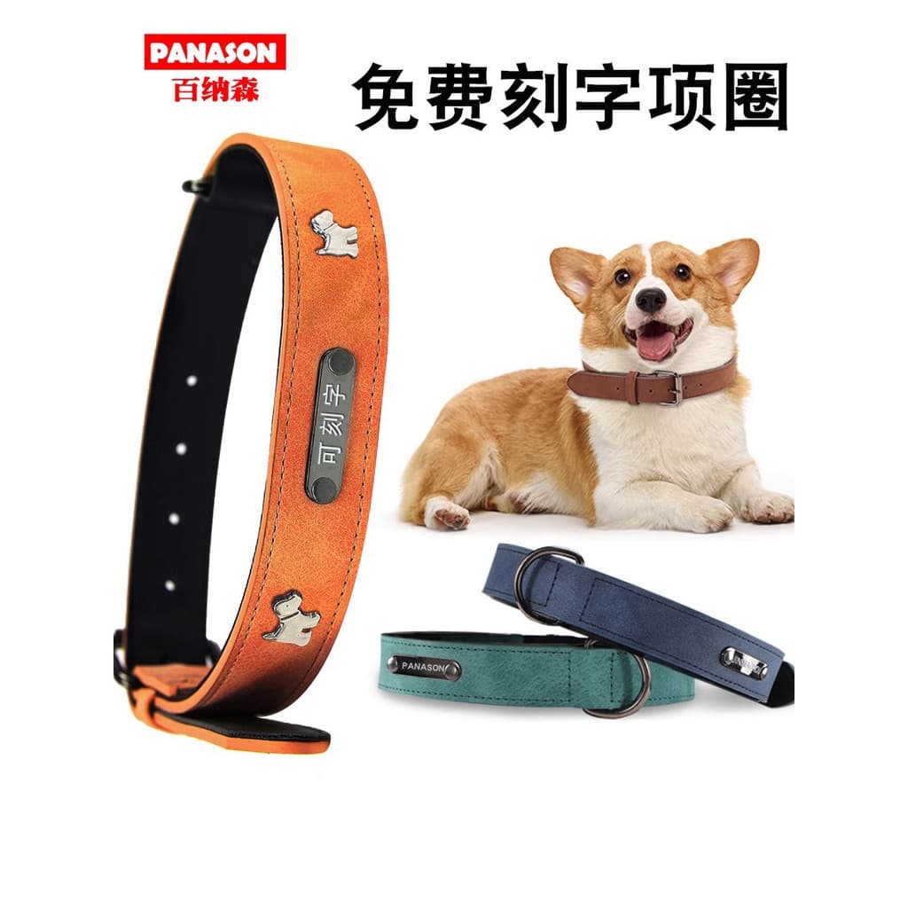 Benassen coleira macia para cachorro, corrente grande e pequena, lateral para cachorro, Golden Retriever, coleira para c
