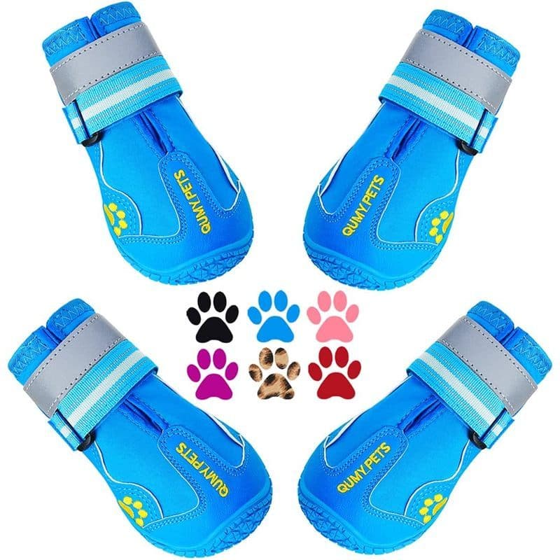 Sapatos De Cachorro QUMY Para Pavimento Quente , Botas De Neve Cães & amp ; Protetores De Pata O Inverno