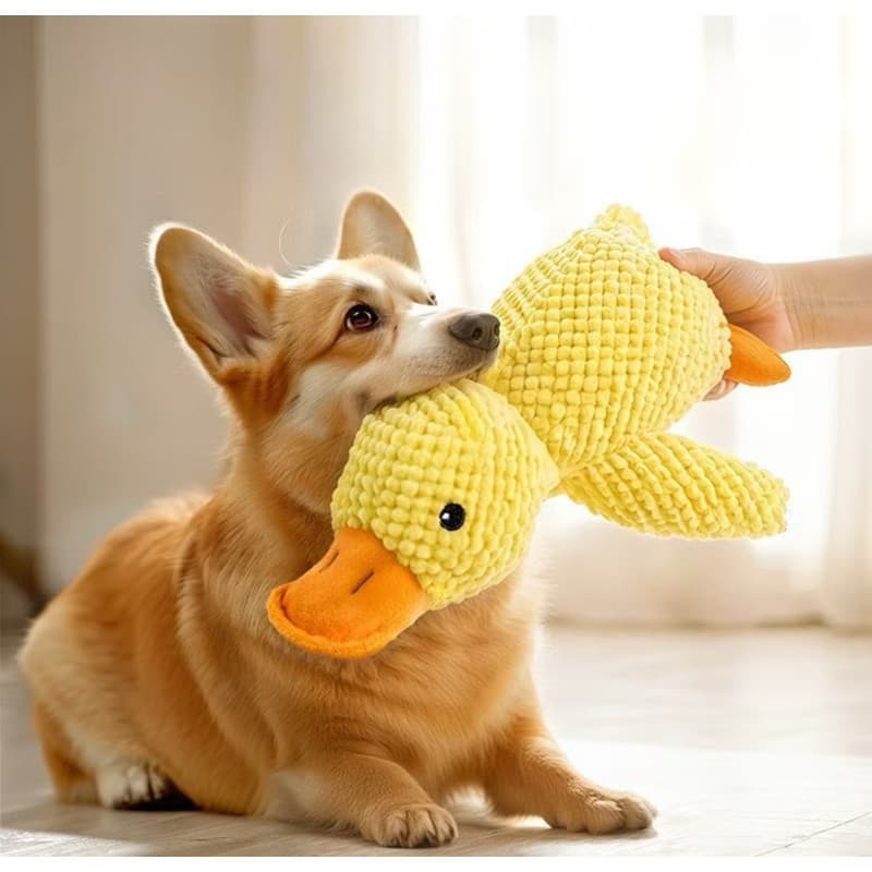 Brinquedo Pelucia Para Pets Com Apito Pato Sonoro - 26cm