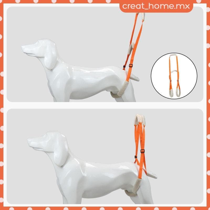 [Creat_home] Suporte Para Perna Traseira De Cachorro Arnês De Elevação Ajustável Estilingue De Auxílio À Mobilidade Do Q