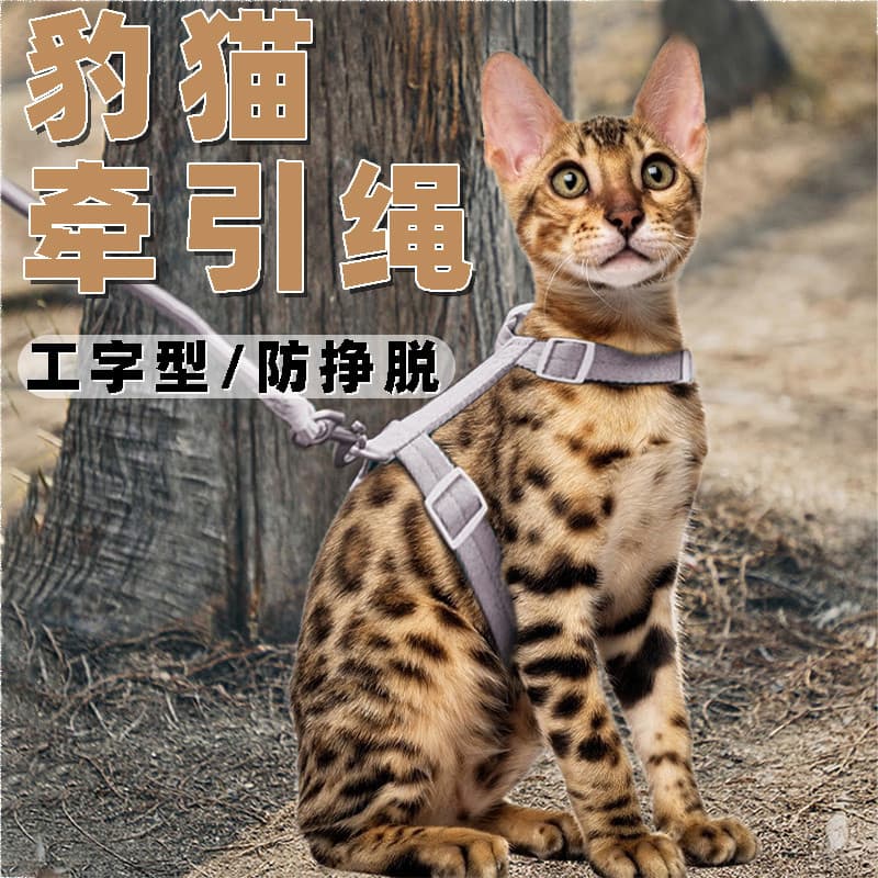 Corda de tração para gato leopardo gatinho adulto anti-perda em forma de I peito traseiro anti-fuga ajustável caminhada