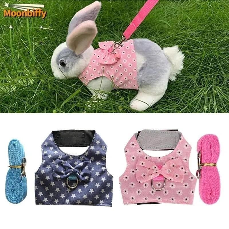 Pequeno Animal Ao Ar Livre Andando Arnês E Trela Conjunto Roupas Bonitos Para Filhote De Cachorro Gatinho Porcos Coelho