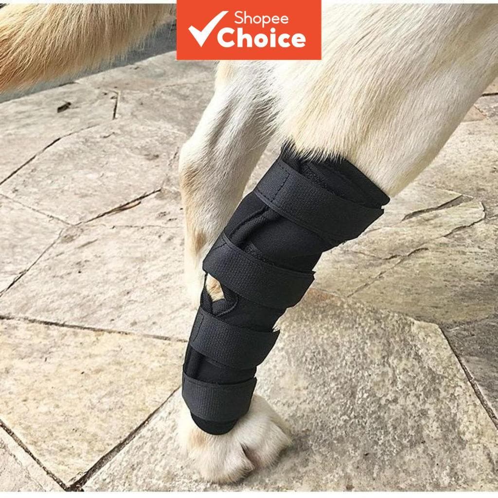 Joelheiras Para Cães Post Op Rehab Mangas Pernas De Animais De Estimação Ao Ar Livre Gatos , Sapatos Pato kasut kucing S