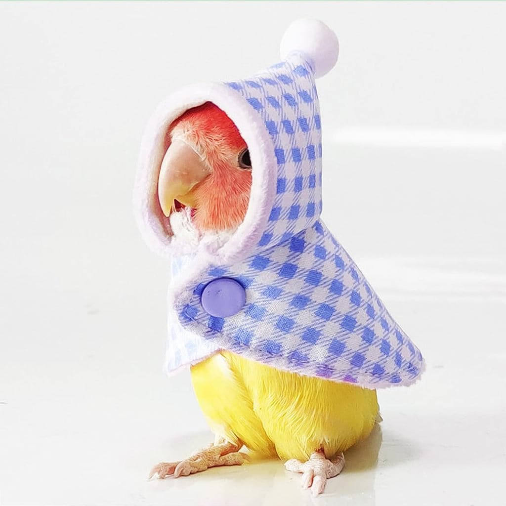 Fantasia de Pássaro Fofa, Capa de Papagaio para Cosplay e Adereço Fotográfico, Roupa para Periquito, Papagaio Cinzento A