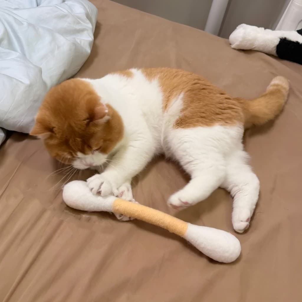 Brinquedo para Gato Catnip Giant Q Tip, Bastão de Feltro Macio para Gatinhos Morderem e Mastigarem, Brinquedo Interativo