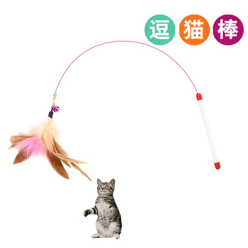 Fio de aço pena colorida provocando gato vara brinquedo de gato sino livre brinquedo interativo de gato