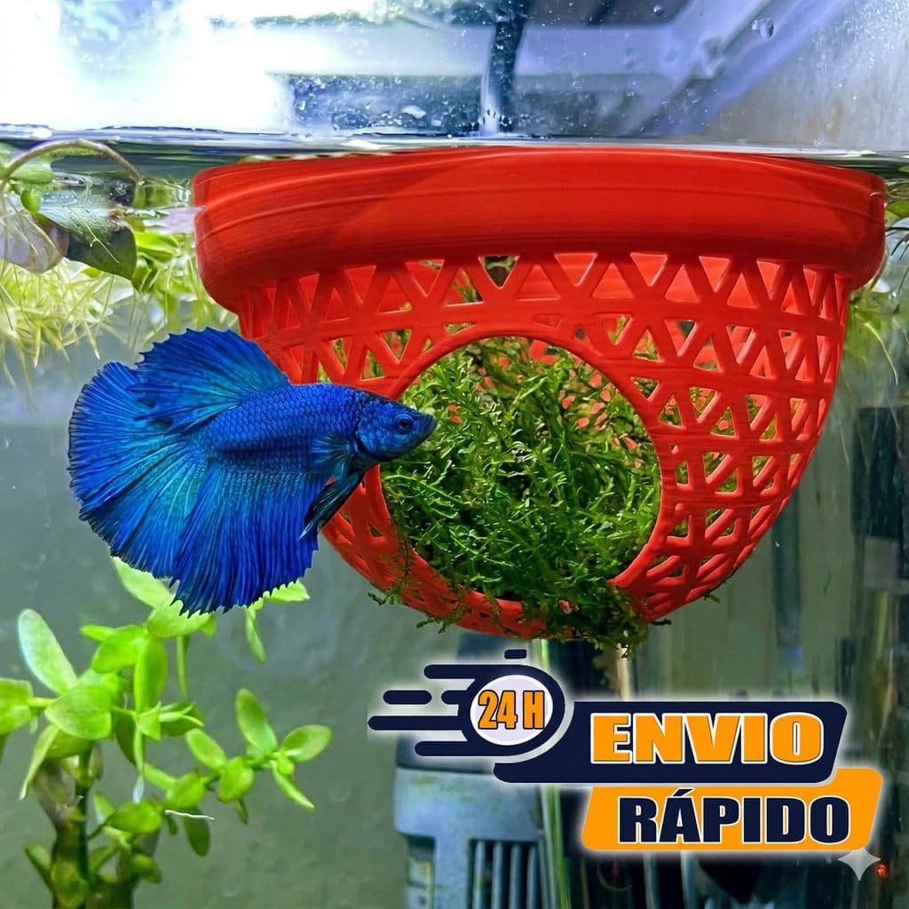 Toca Esconderijo Flutuante Betta Aquário Peixes CamaDescanso Aquarismo Decoração Anel de Alimentação