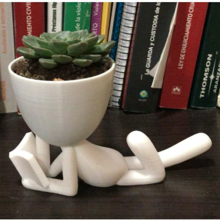 Vaso De Plantas Pequeno Pessoa Lendo Livro