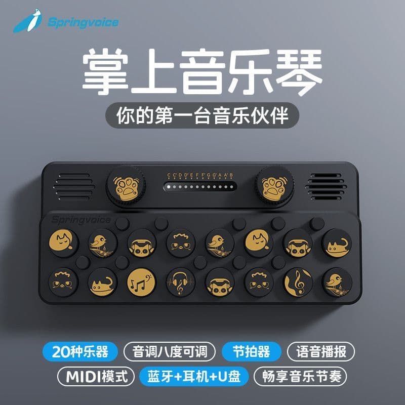 Springvoice bolso teclado de música portátil portátil Piano musical instrumento musical crianças iluminação presente MID