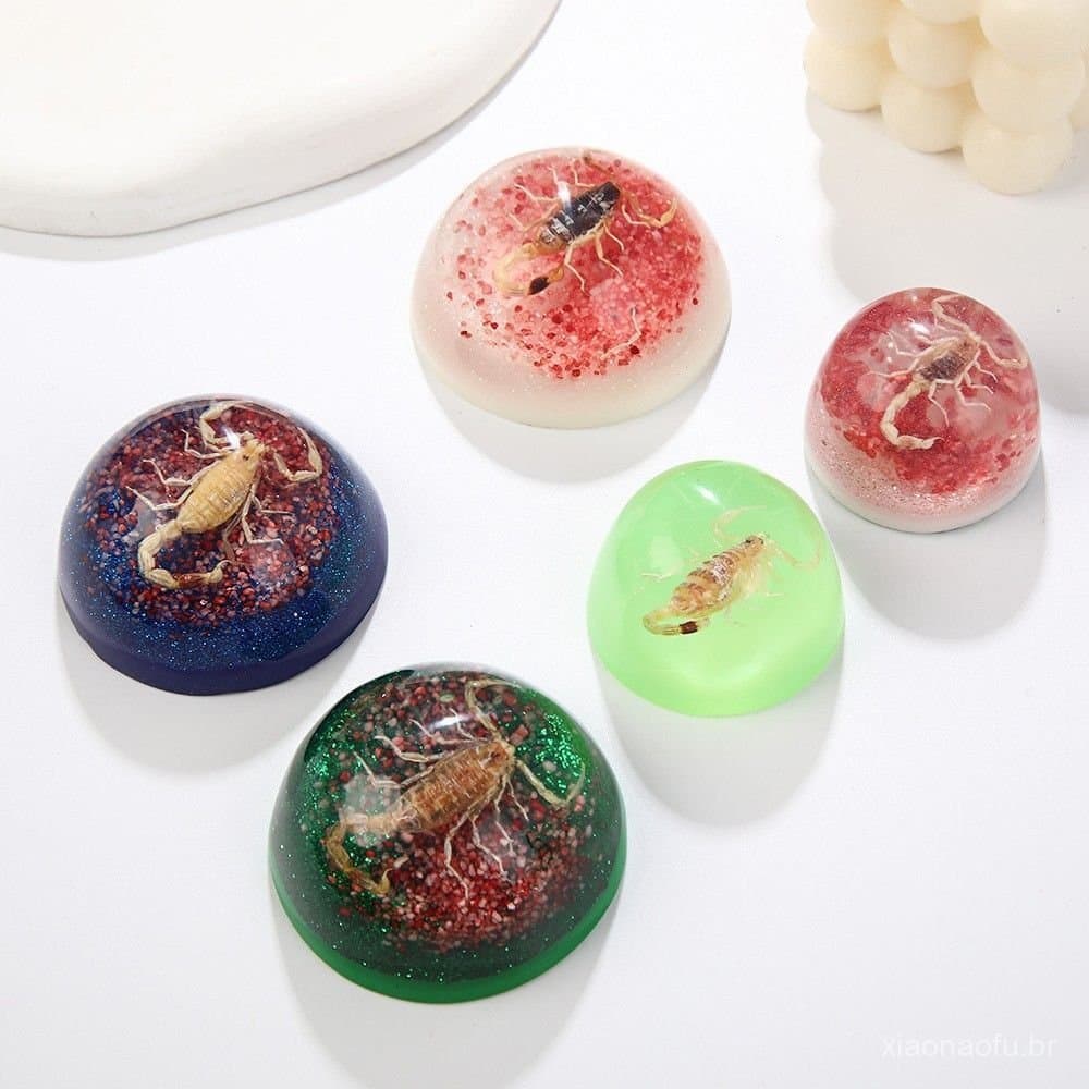 Ornamento em forma de hemisfério com espécime natural de escorpião, popular para casa e quarto, presente genuinamente lu