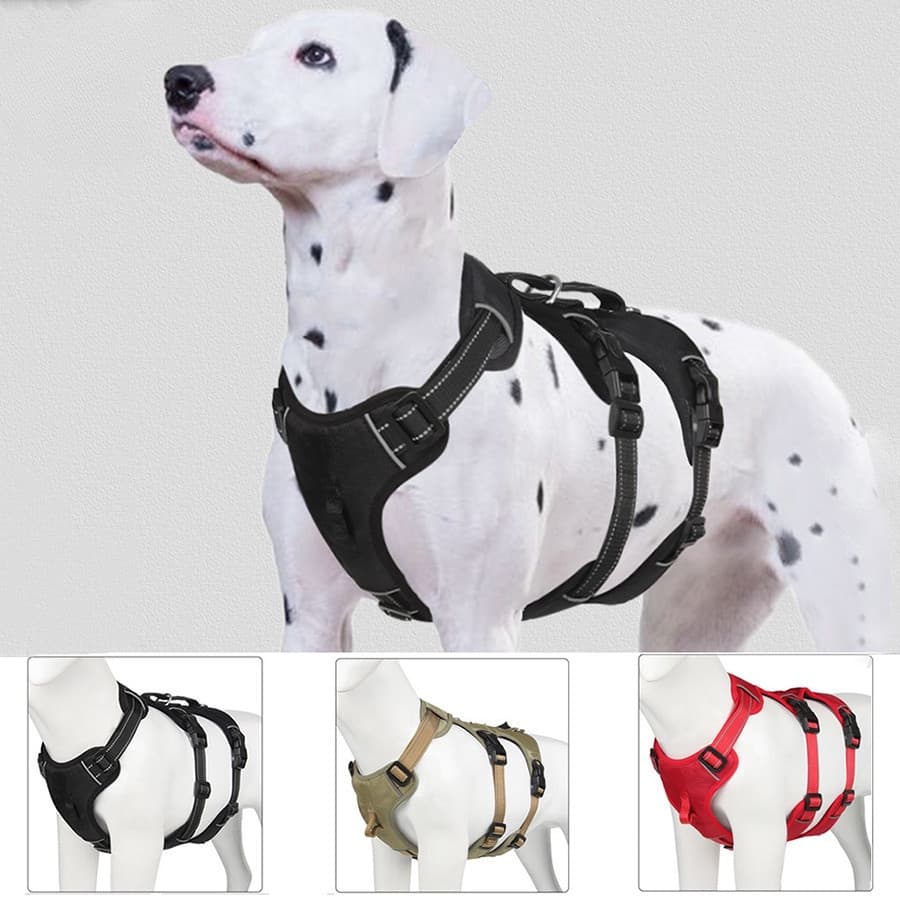 Coleira de Peitoral Para Cachorro Cães Grandes À Prova De Fuga Com Alças Reflexivas De Nylon