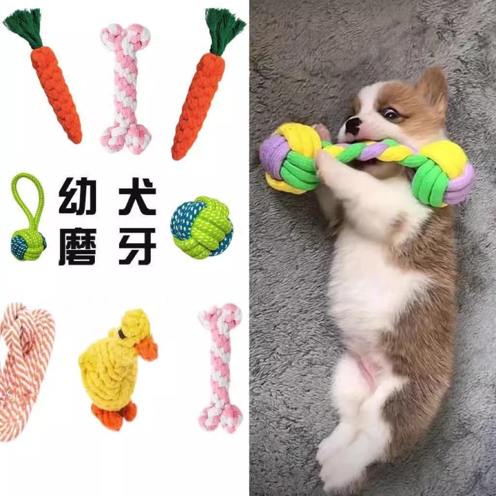 Cão de estimação voz brinquedo Molar vara resistente à mordida Teddy Bichon filhote de cachorro nó brinquedo pequeno cão