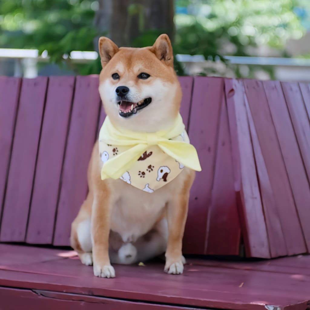 Babador para animais de estimação cachecol Shiba Inu pequeno médio coleira de cachorro bonito gato cão Saliva toalha dec