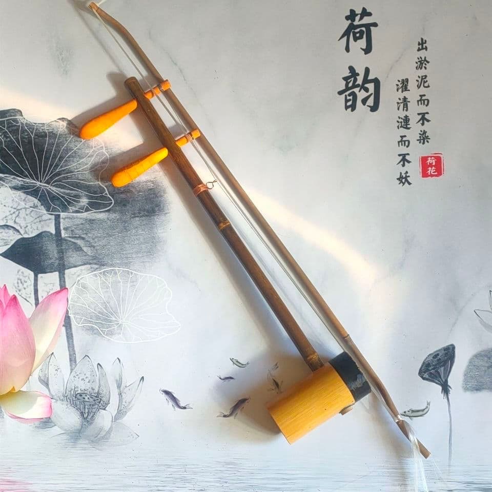 Jinghu Jing Erhu Conjunto completo com instrumentos musicais étnicos de afinação Introdução para iniciantes Autoestudo B