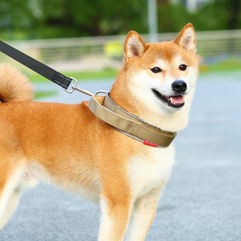 Coleira para cachorro, tamanho médio, Shiba Inu, Golden Retriever, coleira grande para cachorro, pulôver, gravata para c