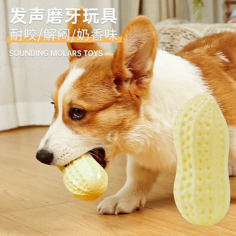 Brinquedos para cães, resistente à mordida, alívio do tédio, ferramenta útil, bola de som de amendoim, Corgi, pelúcia, g