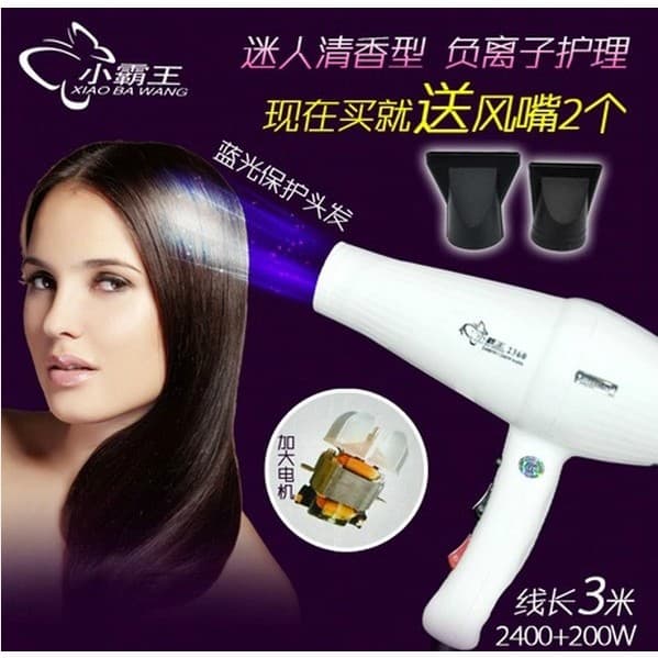 Secador de cabelo de aromaterapia ultravioleta, secador de cabelo de íon negativo de alta potência, ar quente e frio gen