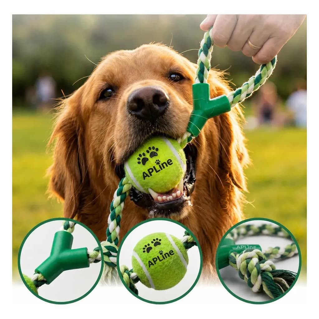 Brinquedo Corda Com Bola Verde Para Cães Resistente Interativo Antiestresse Enriquecimento Ambiental Alivia Ansiedade Es