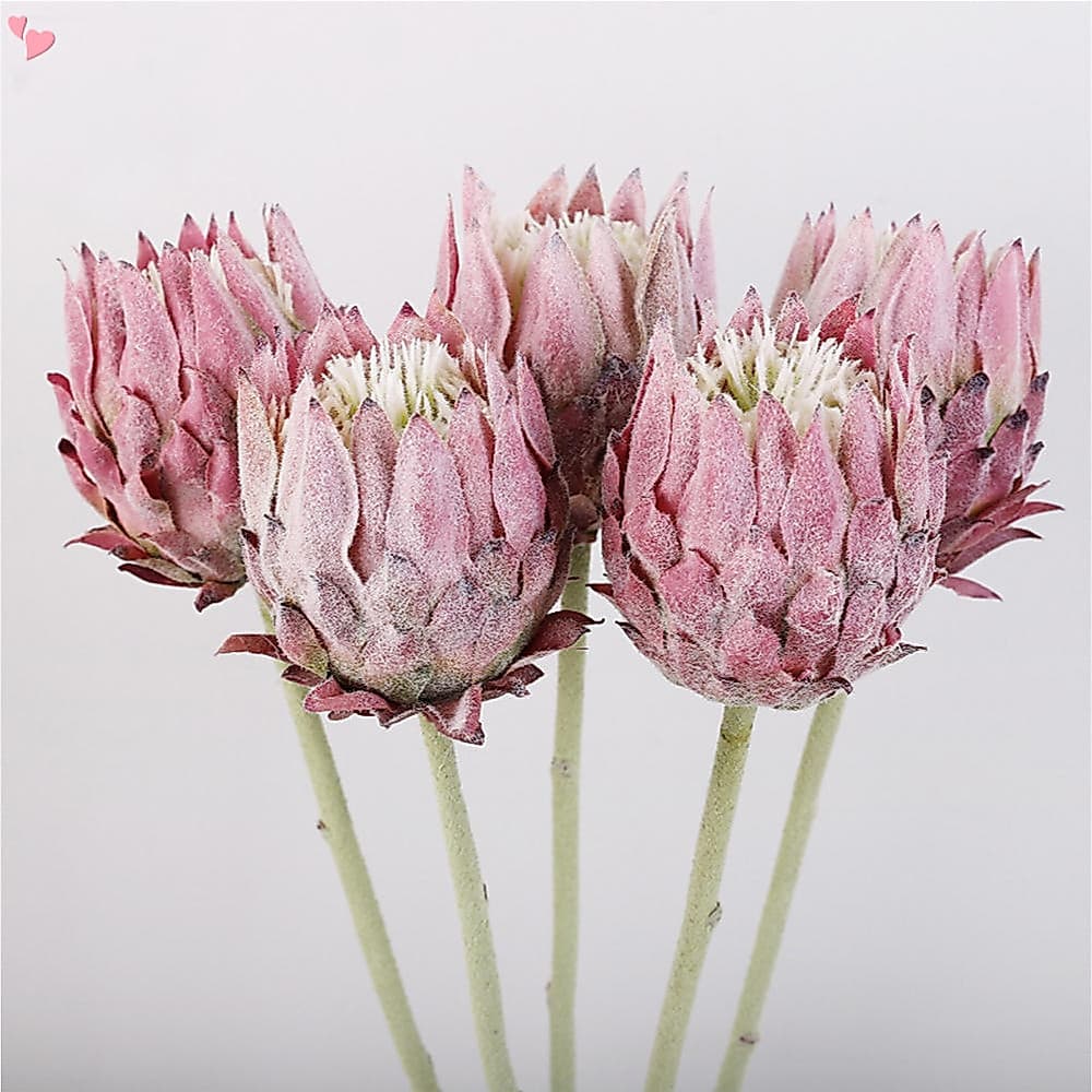 Flores Artificiais De Protea King – Arranjos Florais Tropicais Realistas Para Peça Central De Casamento E Decoração De C