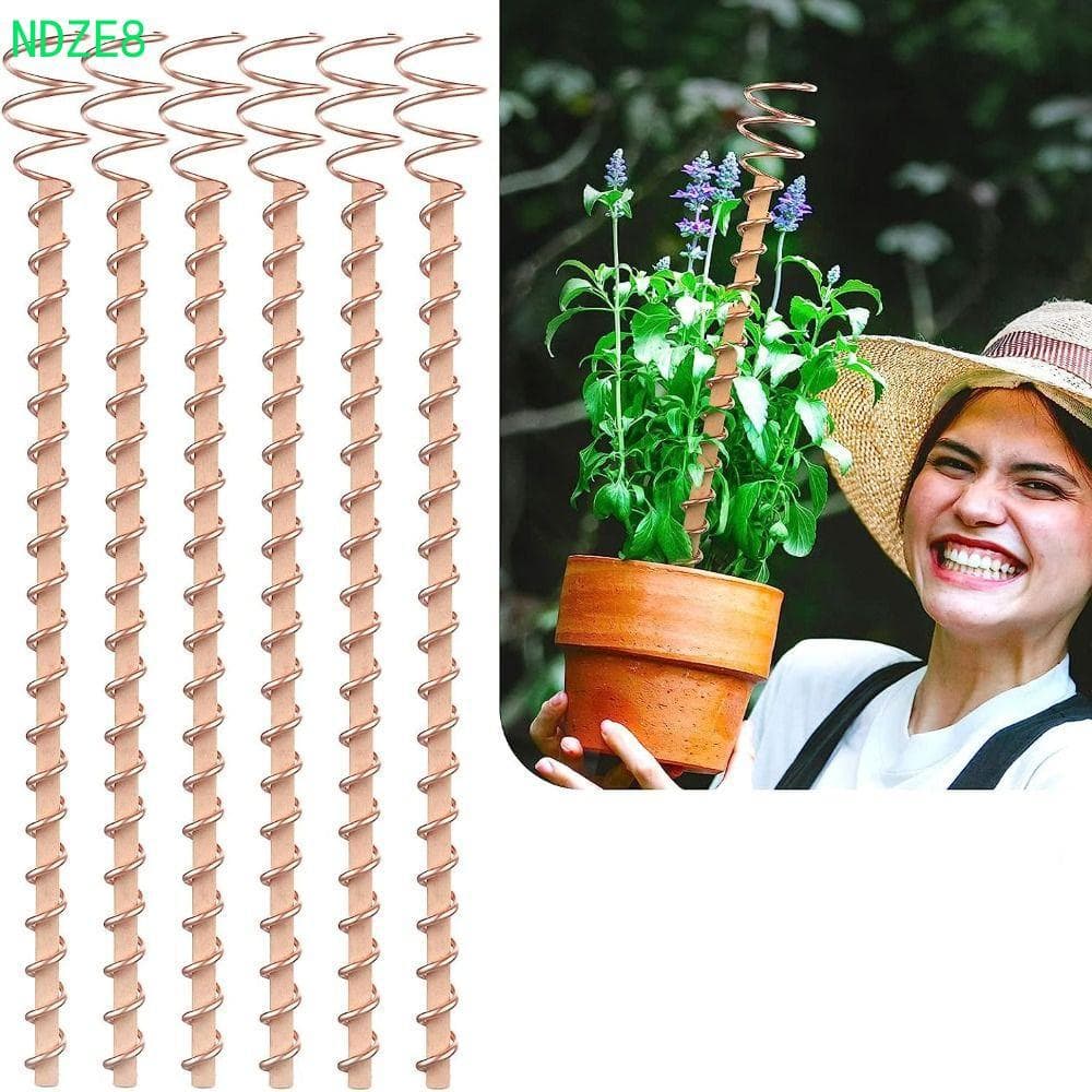Estacas Para Plantas De Eletrocultura NDZE8 , Antenas De Bobina De Cobre Jardinagem Com Haste , Fio