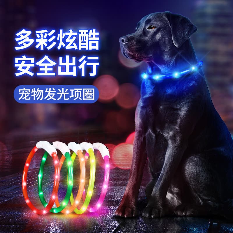 Coleira luminosa para cães e gatos, coleira luminosa LED para animais de estimação, coleira recarregável brilhante para