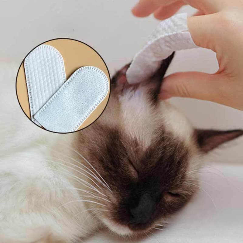 Conjunto de cuidados para animais de estimação com 50 peças|Escova de dentes para dedos + toalhetes para limpeza de ouvi
