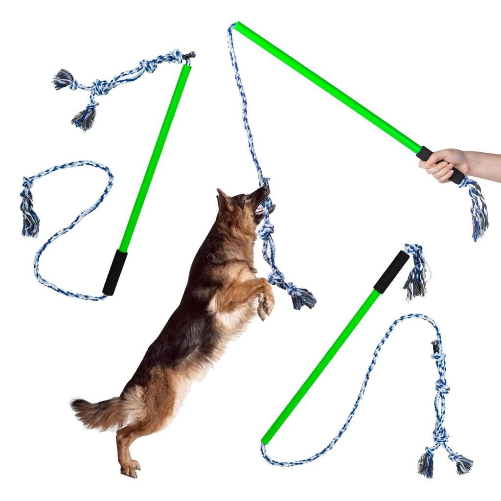 Chás cão engraçado vara interativo resistente à mordida nó brinquedo Teddy Corgi Golden Retriever cão educacional alivia