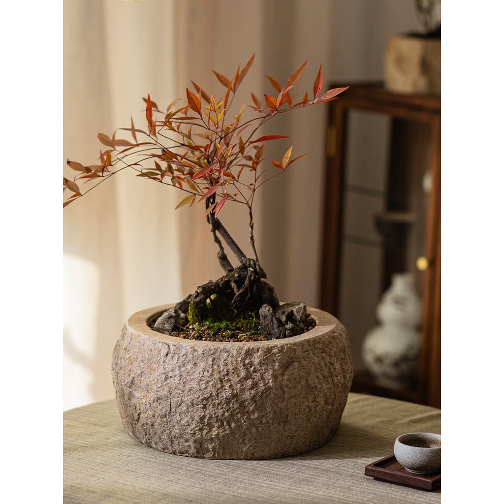 Decoração de sala de chá Vaso de flores Decoração Mesa de chá Paisagismo Planta verde Vaso de plantas Utensílios de flor