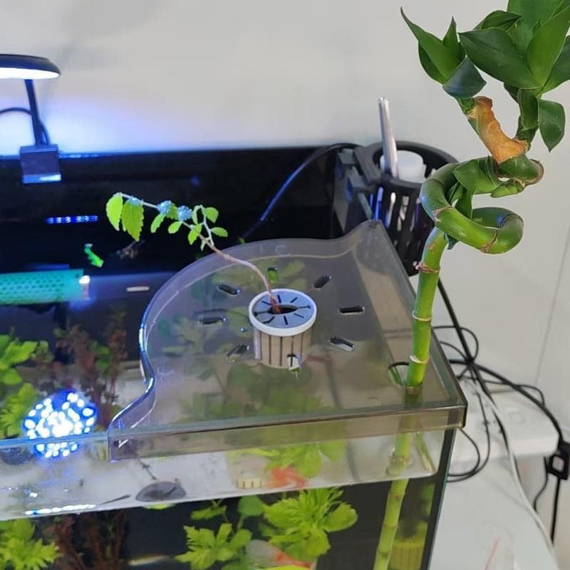 Rack de canto para tanque de peixes, sem perfuração, rack de armazenamento de alimentos para peixes, ferramentas de pesc