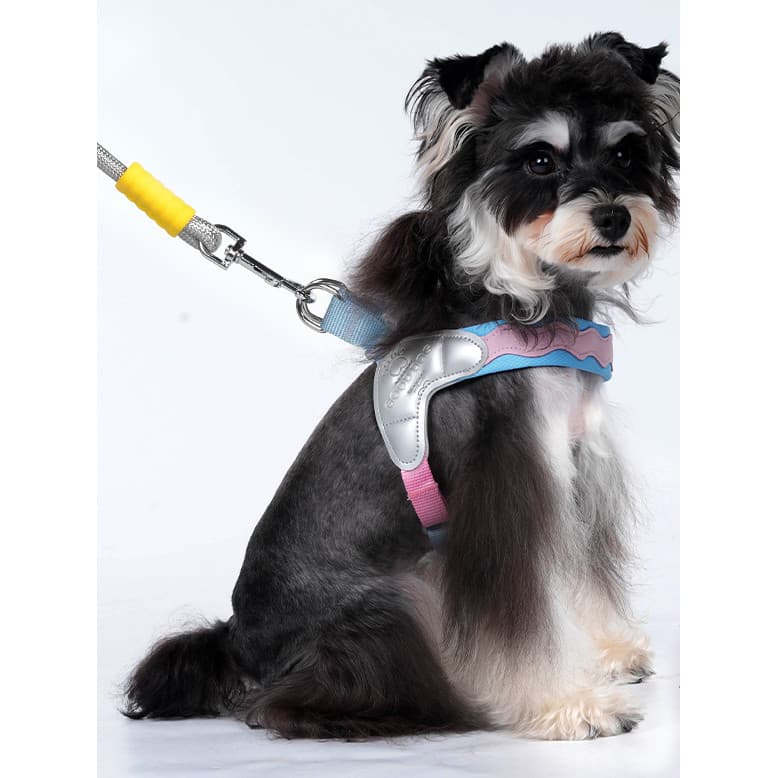 Corda de tração para cães, leve, ajustável, cinta peitoral, passeio para cães pequenos, dedicado, Bichon, Schnauzer, cac