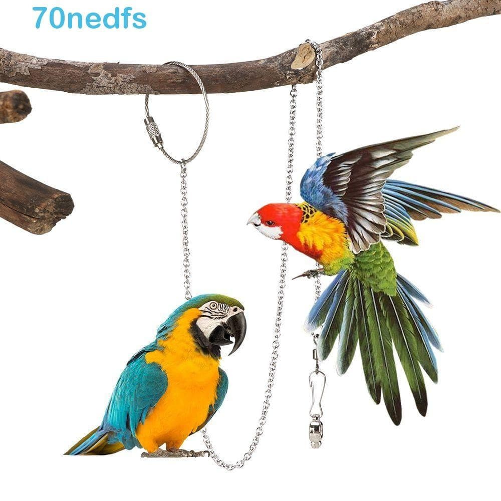 NEDFS Corrente Para Pés De Periquito Calopsita Starling Prata Pombo Ao Ar Livre Suporte Pássaros Em Aço Inoxidável Torno