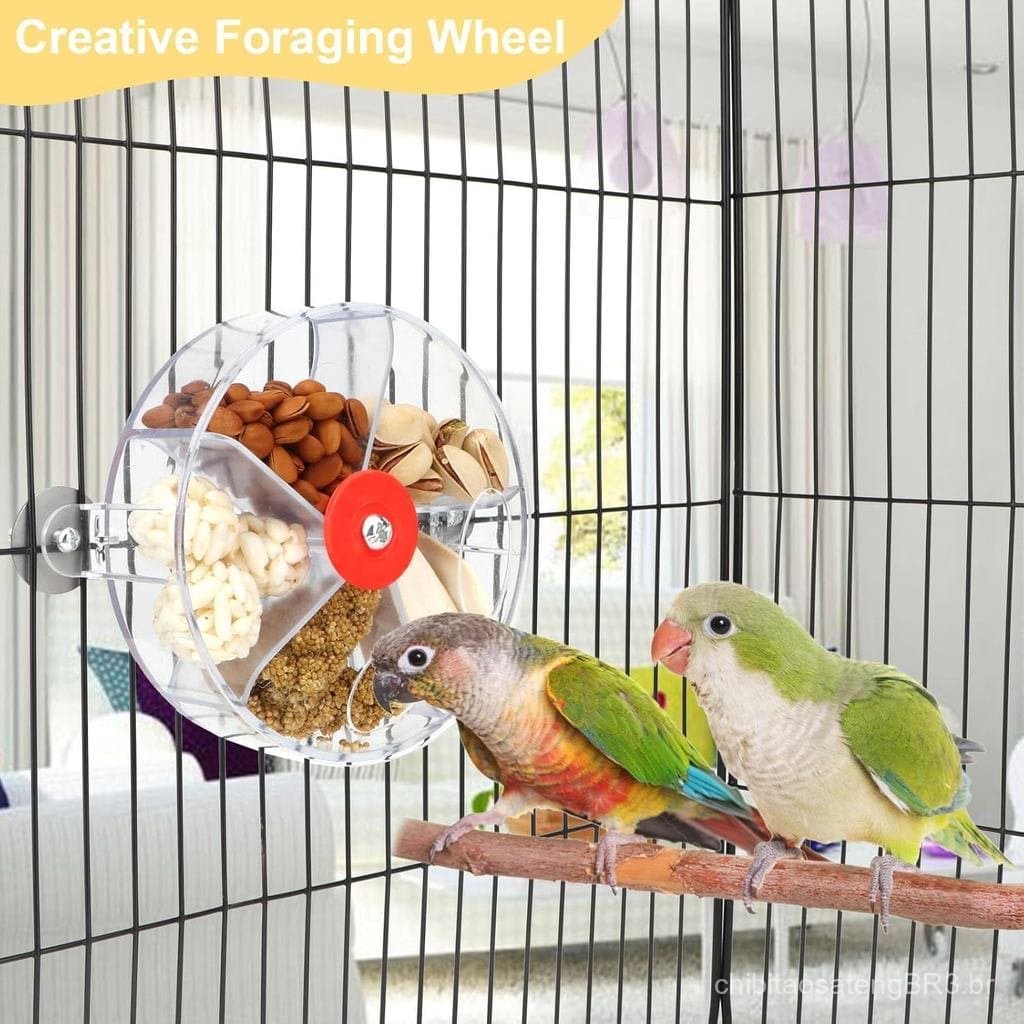 Sistema Criativo de Forrageamento para Pássaros, Brinquedo de Treinamento com Bola de Comida Giratória para Papagaios Pe