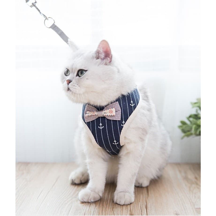 Coleira Peitoral Guia Gato Cão Pequeno Pet Luxo
