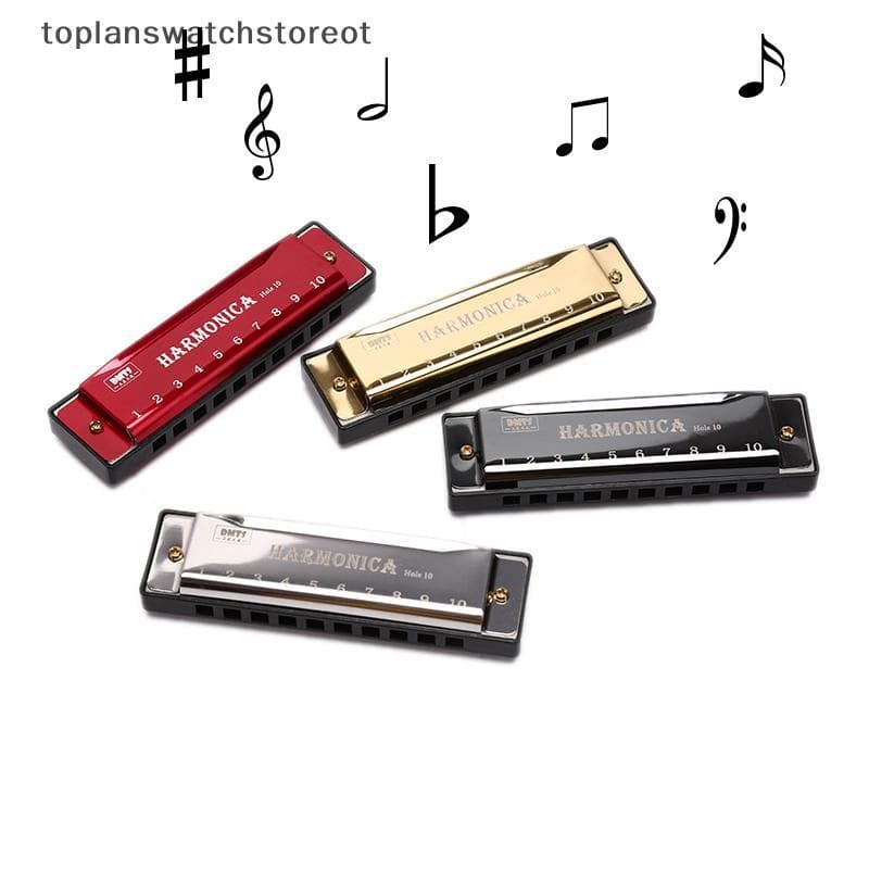 TOL 10 Buracos Gaita Boca Órgão Quebra-Cabeça Instrumento Musical Iniciante Ensino BR