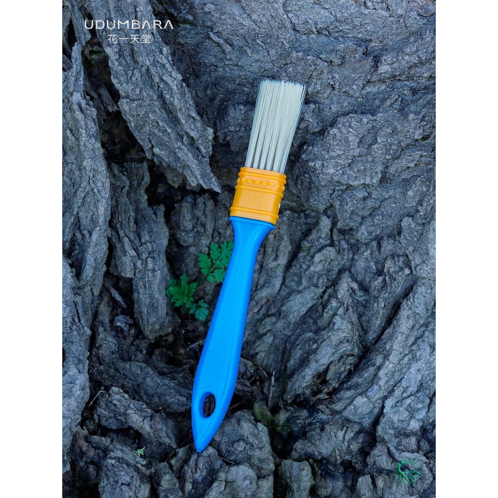 Suculenta Micro paisagem ferramenta especial escova de plástico planta folha poeira ferramenta limpeza jardinagem vaso f