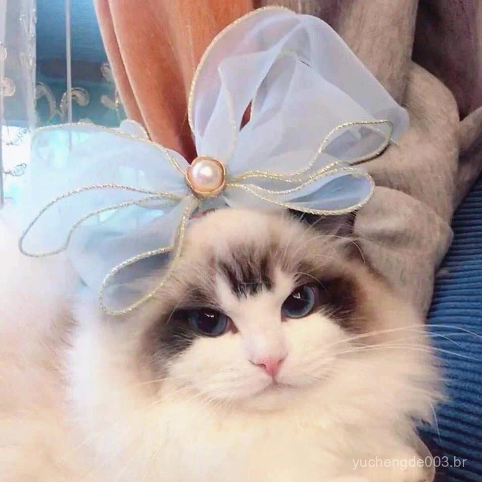 Coleira de Fada para Gato e Cão, Acessório de Babador com Laço de Renda para Ragdoll Azul e Branco, British Shorthair, T