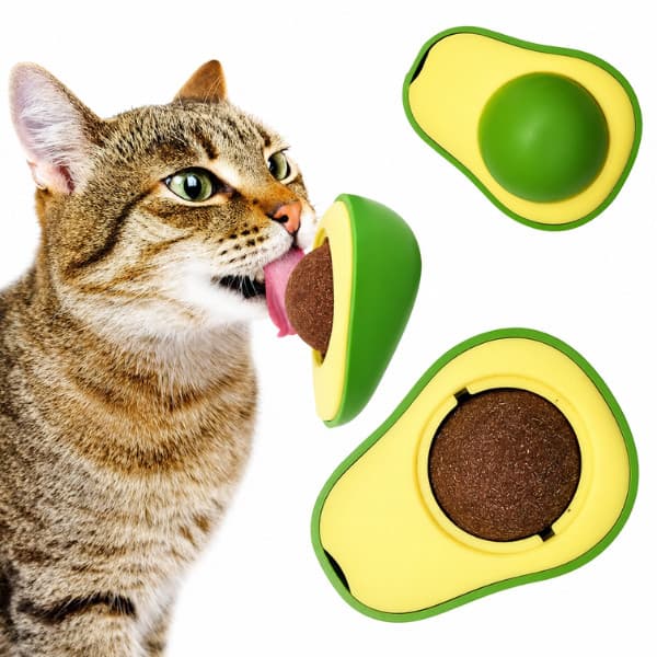 Abacate Brinquedo Para Gatos Com Erva Catnip Gato Natural Relaxante