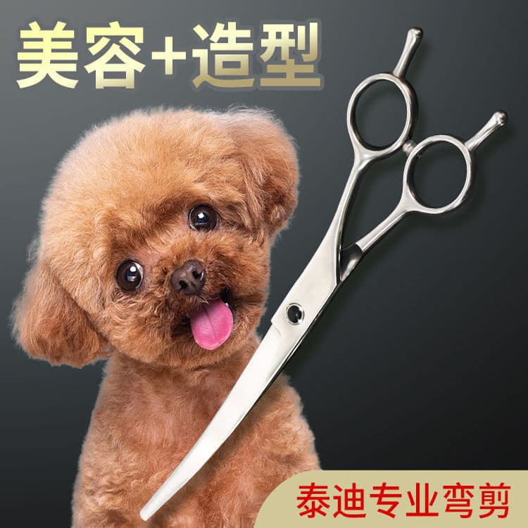 Conjunto de ferramentas de tesoura especial para aparar pêlos de cães Tesoura curvada para animais de estimação Teddy Gr