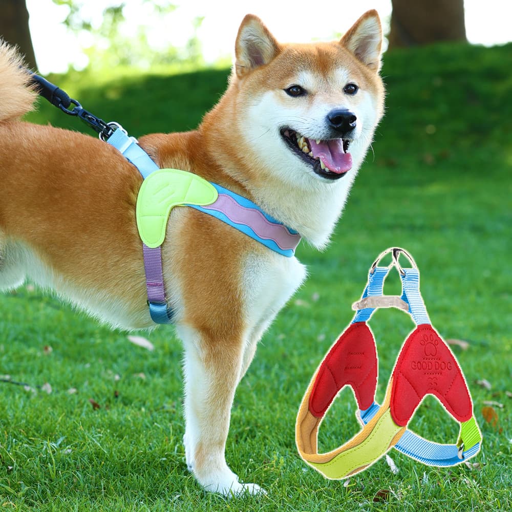 Coleira tipo colete para cães Shiba Inu Bichon Dobaamina Break-off Peito Pequeno Médio Cão Andando Coleira para cães Cor