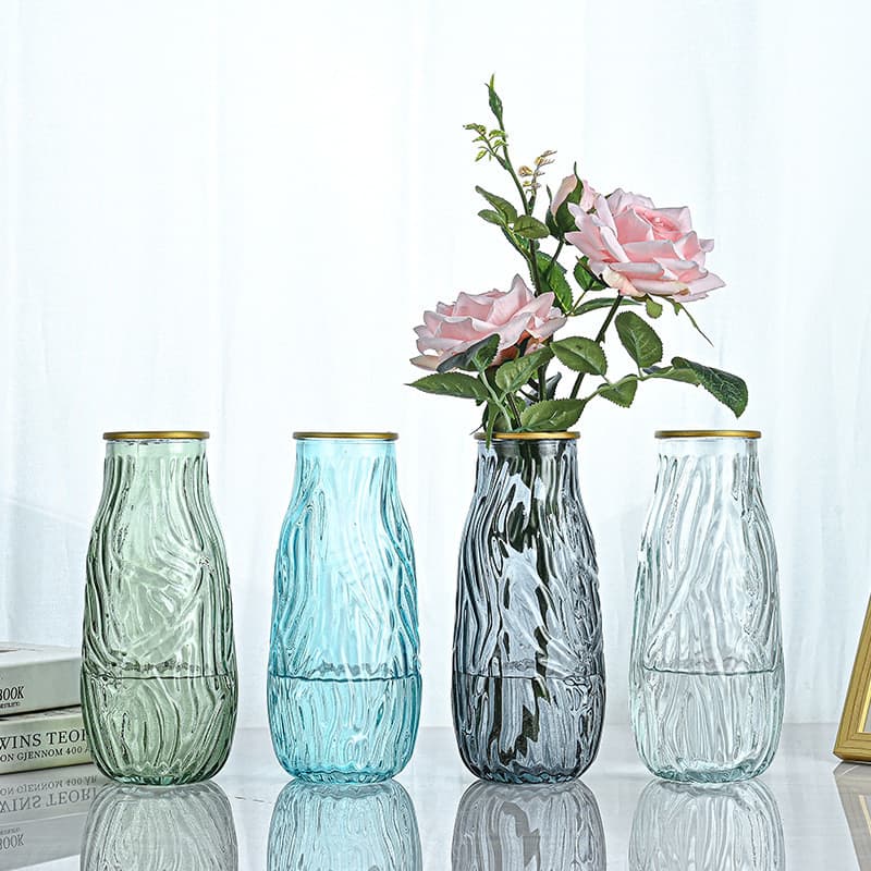 Novo criativo simples casa vaso de vidro ilustração oxidação transparente sala estar hidropônico grande vaso quarto paco