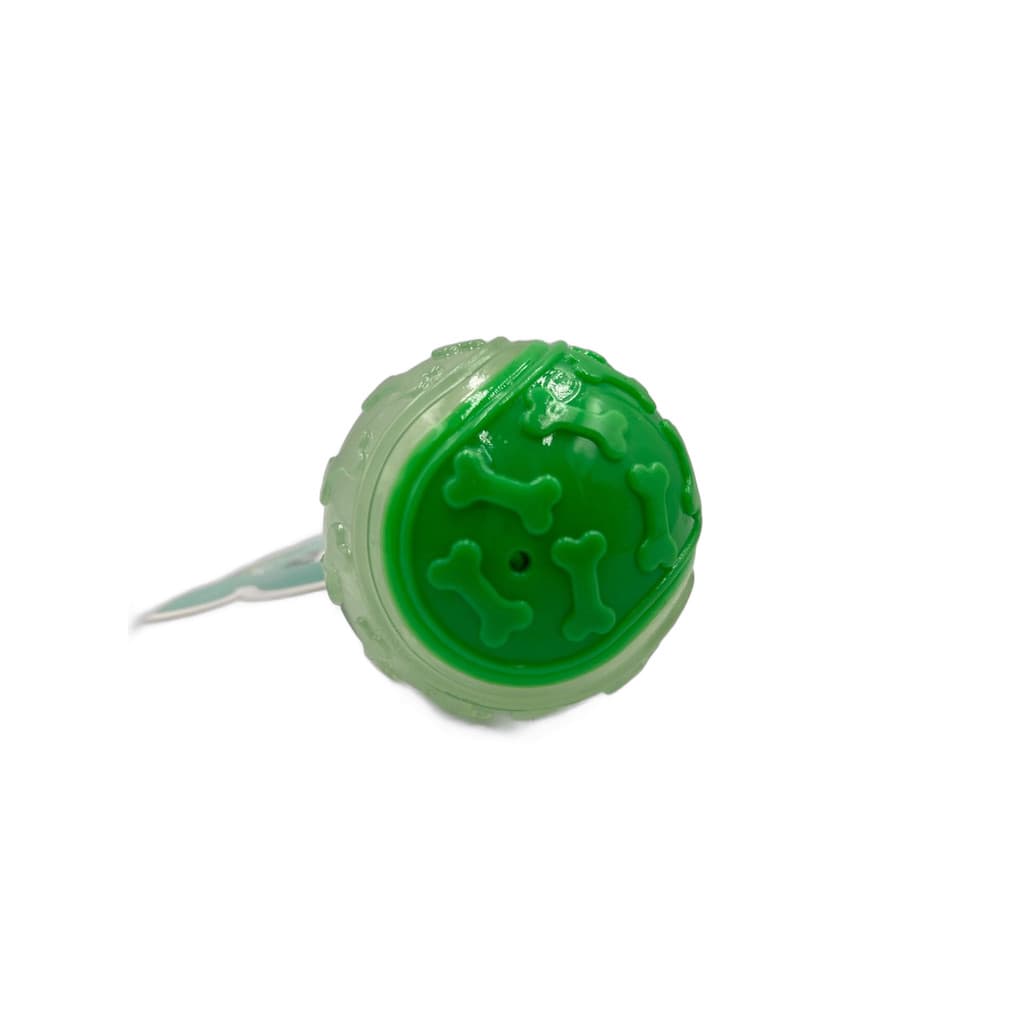 Brinquedo Para Pet Cão| Silicone | Bola Texturizada com Ossinhos